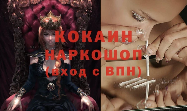 прущие грибы Армянск