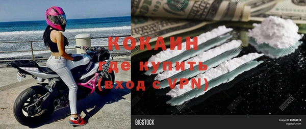 прущие грибы Армянск