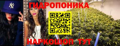 apvp Балашиха