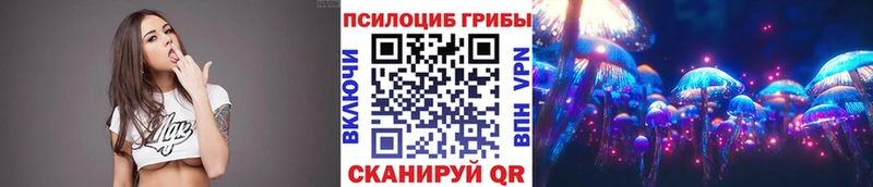 Псилоцибиновые грибы Psilocybe  купить наркотик  Выкса 