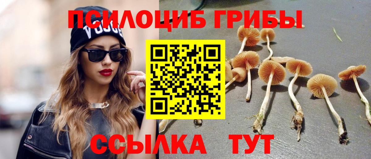 Выкса  Псилоцибиновые грибы Psilocybe  Вход с VPN 